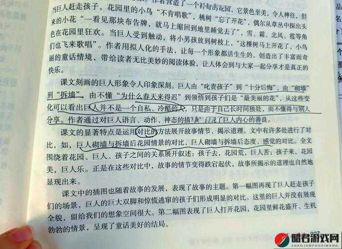 男子肯亲花园所蕴含的深意探讨