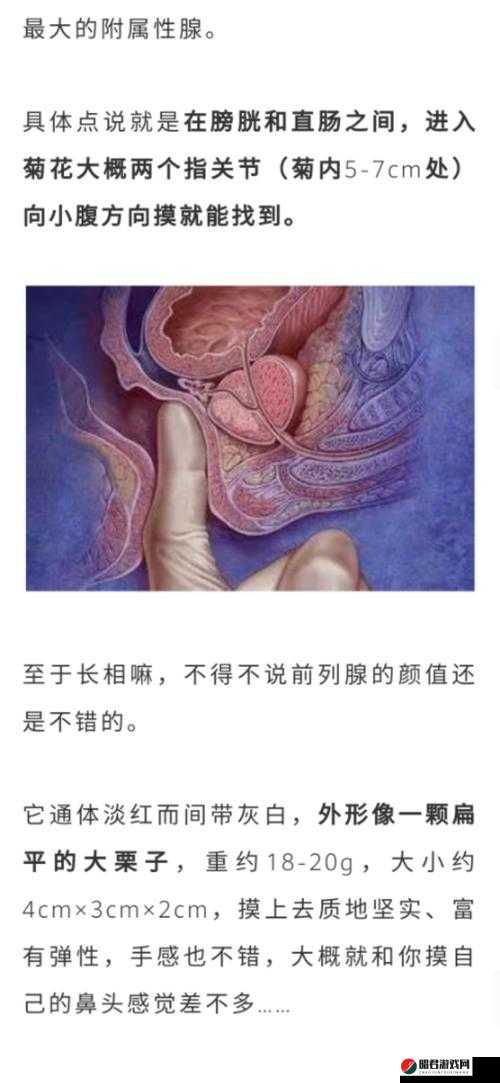 被 C 是一种什么样的体验？——深度解析怎么被 C 最爽