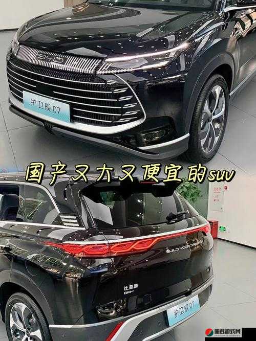 国产又大又便宜的 SUV：为何深受消费者青睐的原因分析