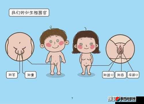 强开乖女嫩苞又嫩又紧免费视频：真实的性教育还是道德的沦丧