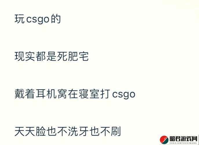 暴躁老阿姨 CSGO 最新版本更新了什么快来了解一下具体内容