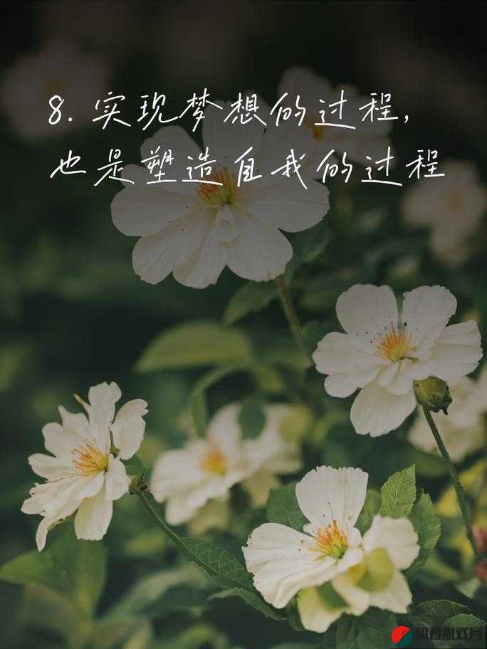 九七爱爱：在青春时光中追寻梦想与美好未来