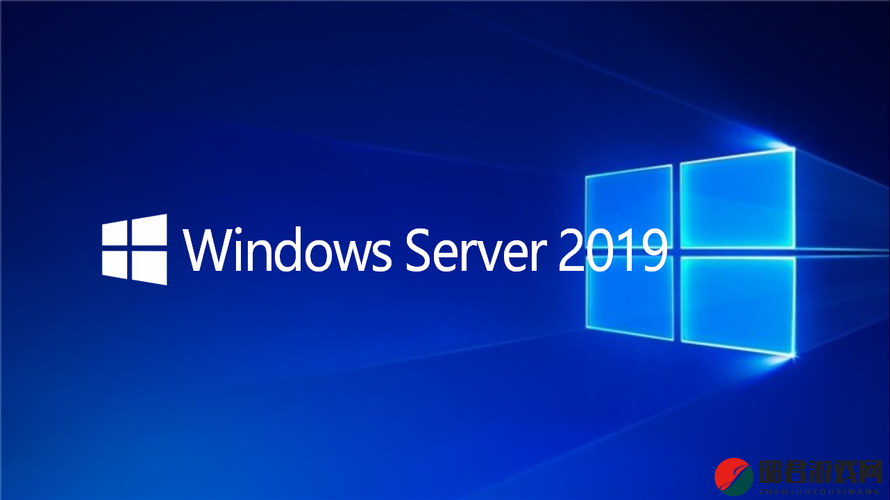 日本 Windows Server ：引领高效稳定的服务器技术革新