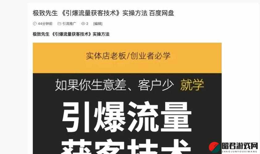 成品站入口页版怎样引爆全：打造极致引爆效果全面发力