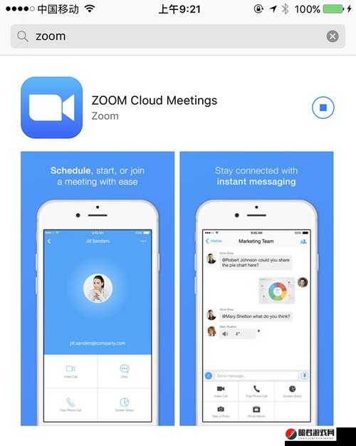 另一类 Zoomcloudmeetings：探索其独特功能与应用场景