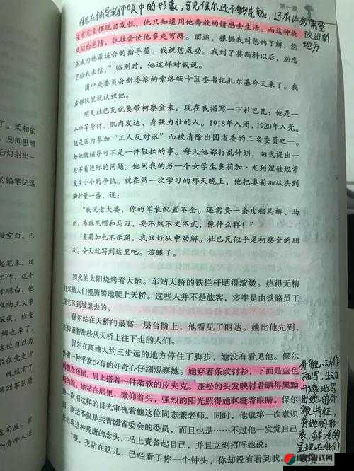 第 1 章中奶头被农民工吸吮相关内容探讨