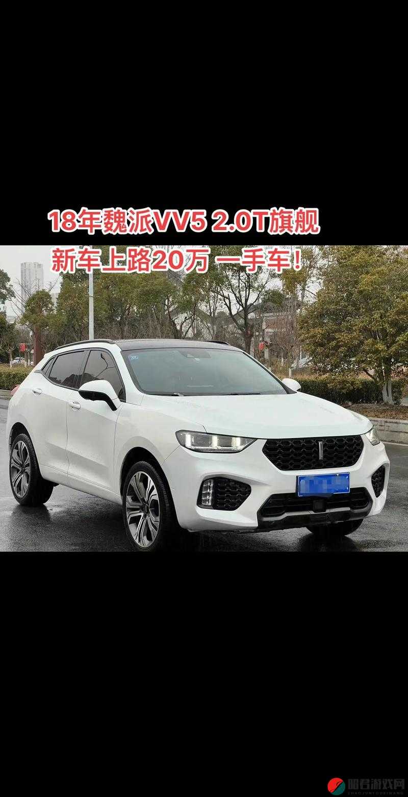 weyvv5 国产的 sUV，开启智能驾驶新时代