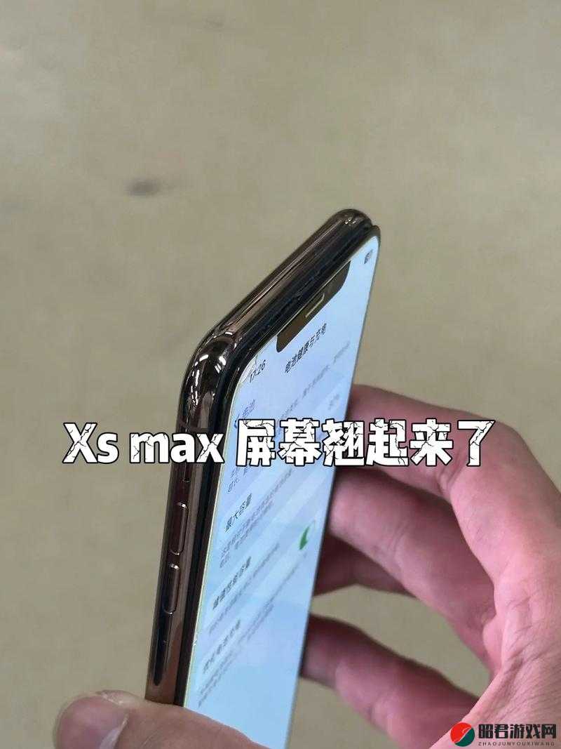 在日本，iPhone XS Max 的使用体验如何？