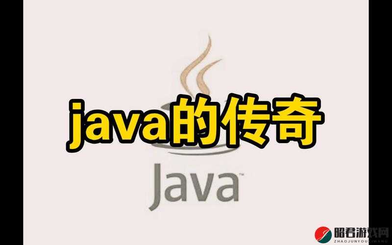 Java 好妈妈开封：一位母亲的编程传奇