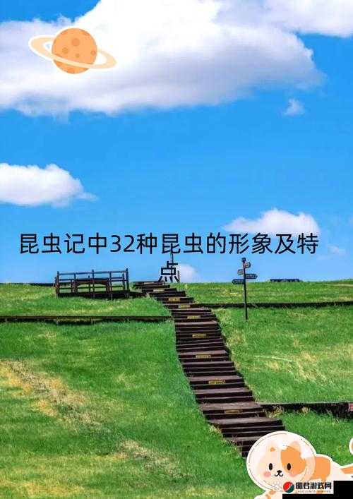 A∨乄乄乄T∨：探索未知世界的奇妙之旅