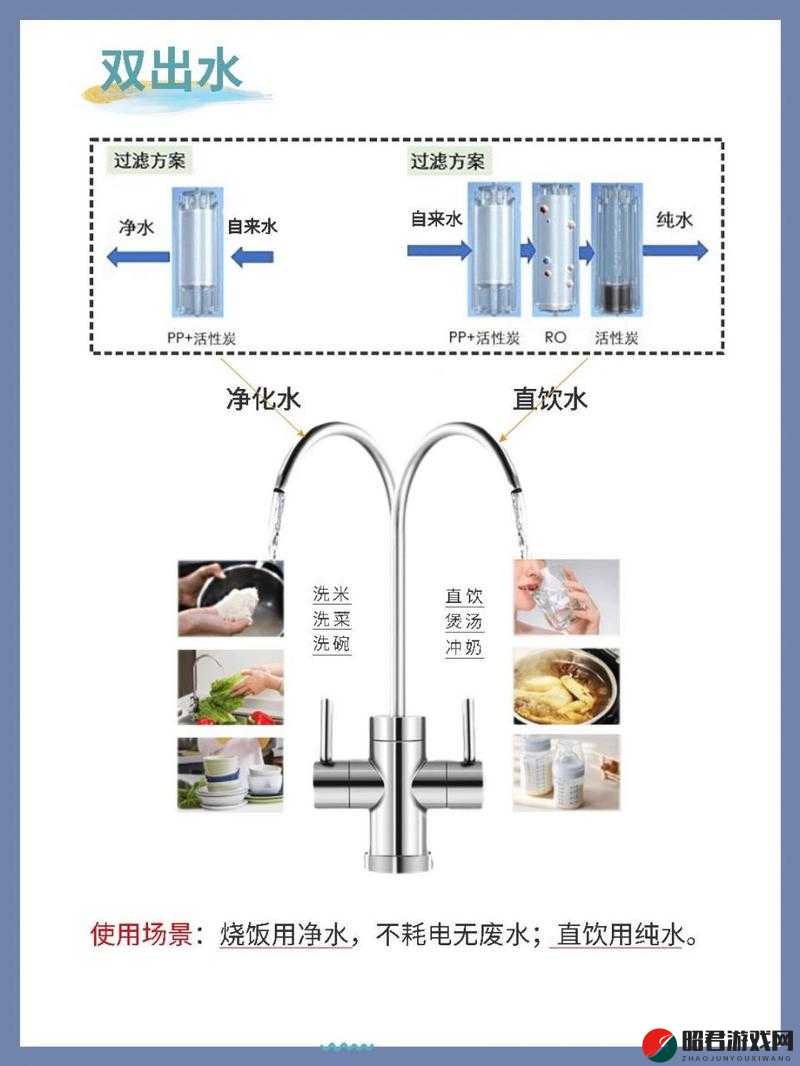 日本双渗透现象的深入剖析与探讨