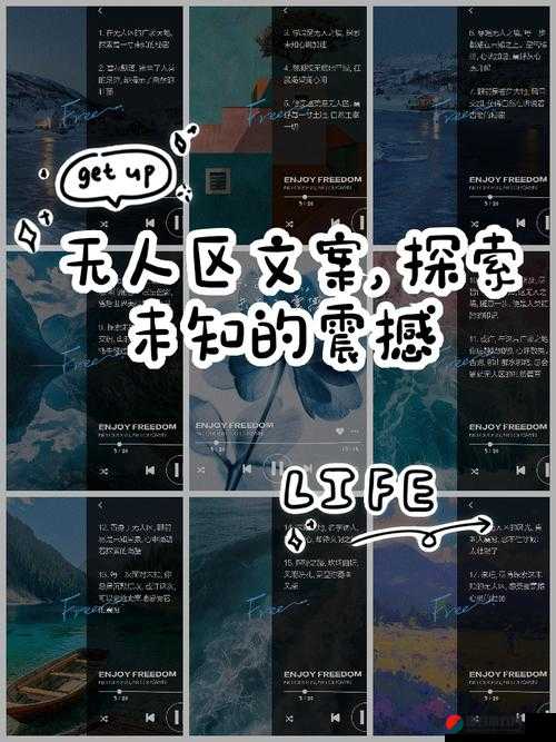 无人区乱码怎么用手机发消息：探索未知通信的奥秘