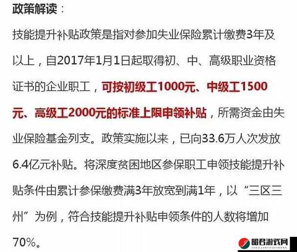 聚焦鲁一鲁综合：全方位解析