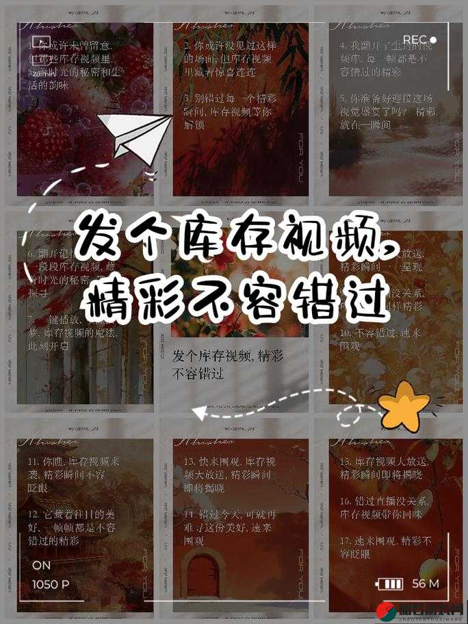 A级提视频：精彩内容不容错过的优质视频分享