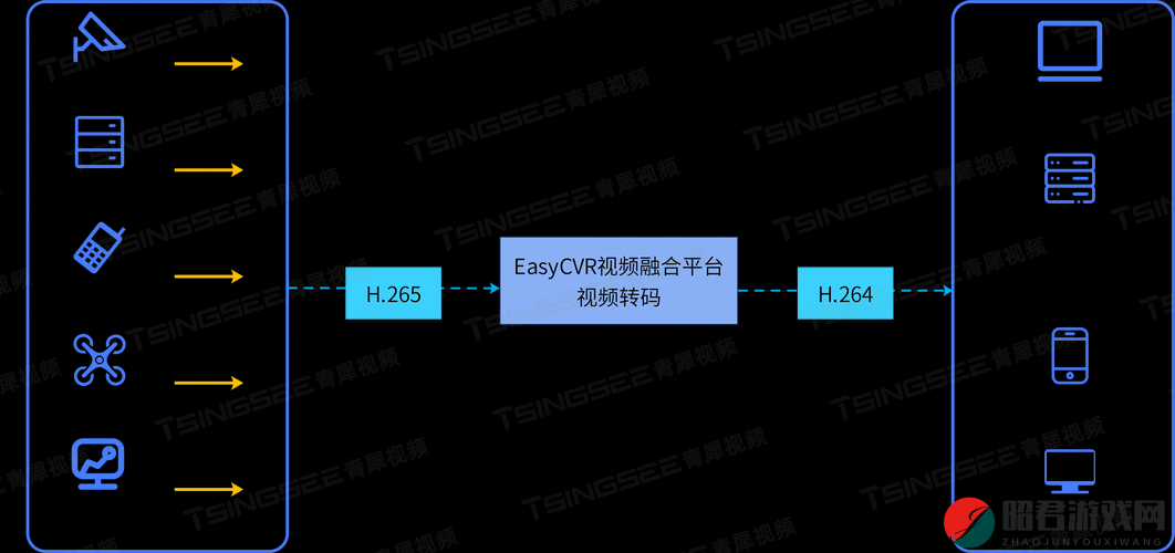 VIDEOCODECWMVIDEODECODER 的高效解码与应用