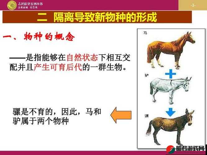 人类一伦一性一交一配的自然奥秘与意义探讨