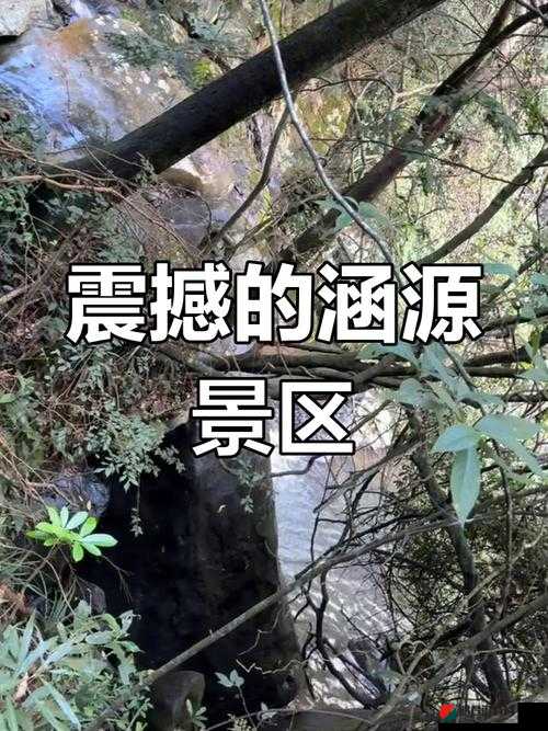 张家界董小宛在线播放：揭秘神秘景点背后的故事