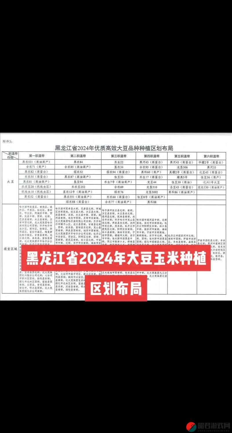 51 大豆行情网仙林踪 2024：全面解析大豆市场，掌握投资先机