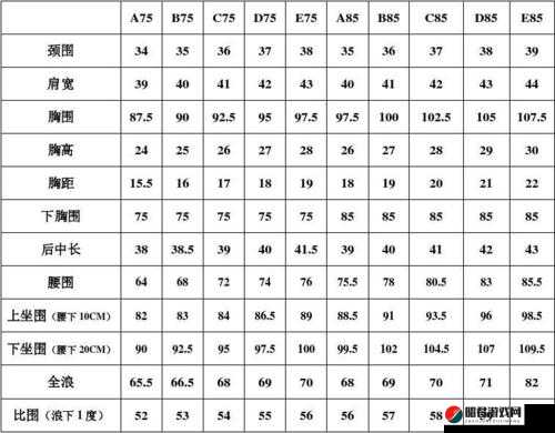 欧洲多尺码 3538 ：满足多样化需求的优质选择