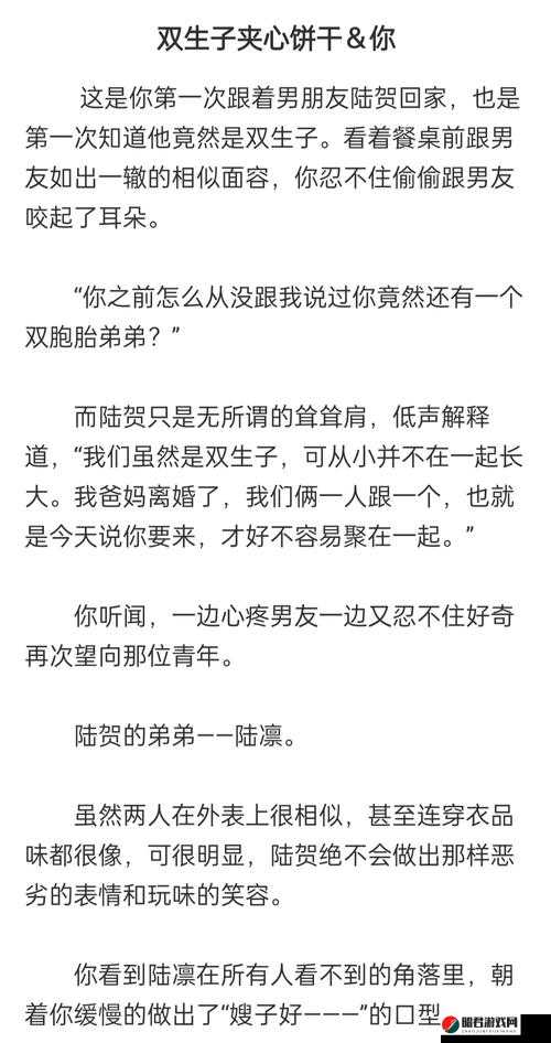 双胞胎夹心饼干三个人做的故事以及他们的独特经历