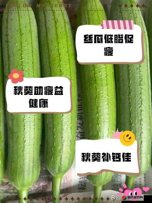 丝瓜秋葵草莓香蕉榴莲芒果大全之丰富食材大赏