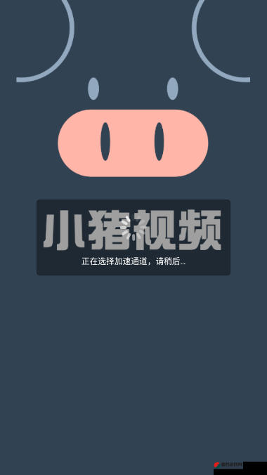 小猪视频app 下载：畅享精彩视频的必备之选