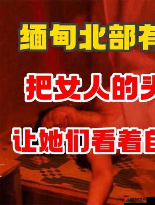 缅甸外网恐怖网站入：揭示网络黑暗的窗口