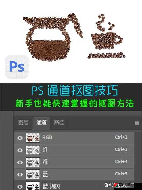 免费网站入口站免费进 PS 软件：畅享便捷软件获取通道