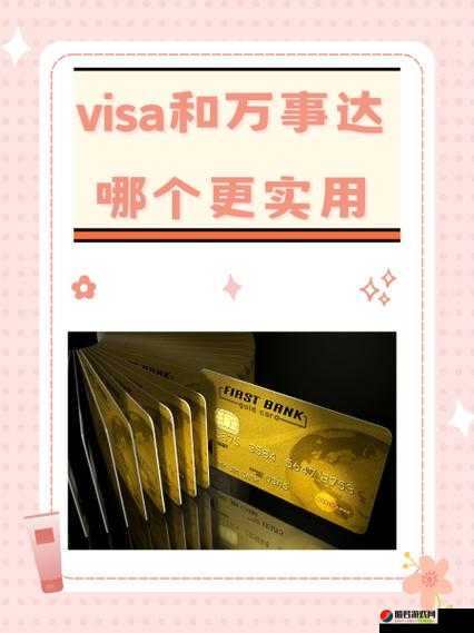 全面解析 JANPENSE VISA：深入解读其特点与优势