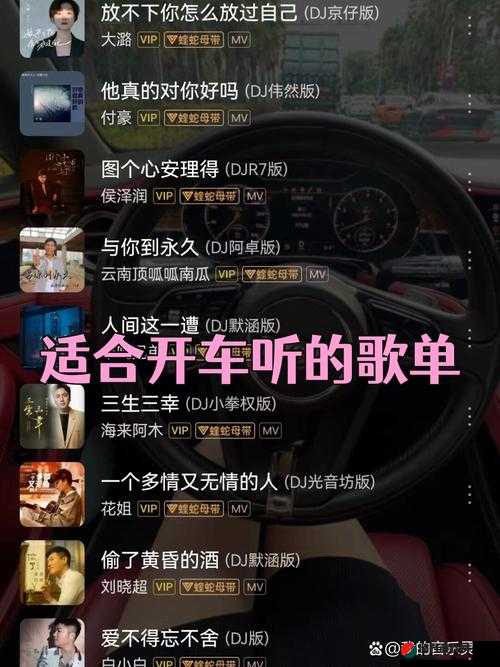 插曲的视频在线播放免费观看：畅享精彩音乐之旅