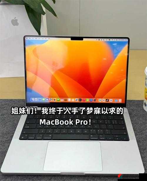 十九岁的 MacBook Pro 高清完整版：一场跨越时光的科技之旅