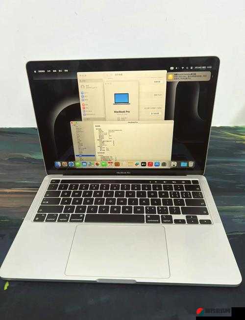 中国 MacBookPro 高清在线：带来极致视觉体验与高效办公性能