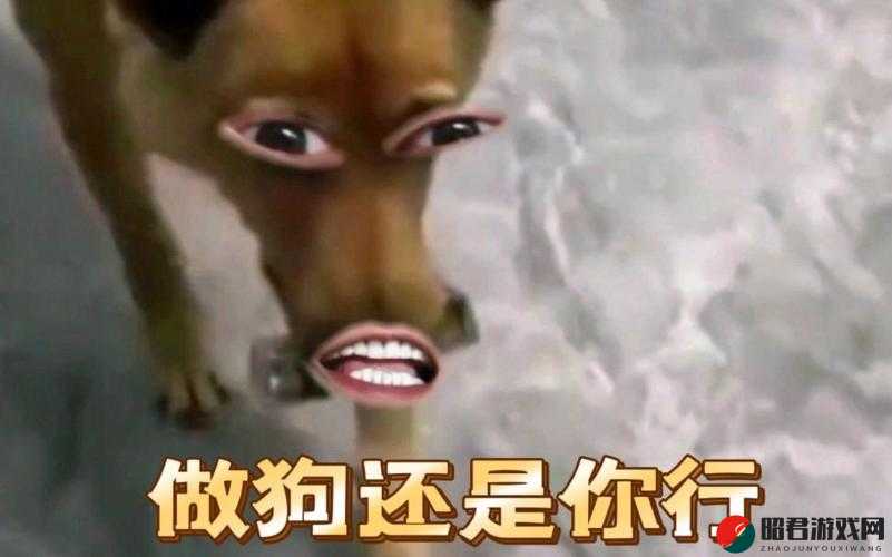 孙老头客厅大战最火的一句：我不是人但你是真的狗