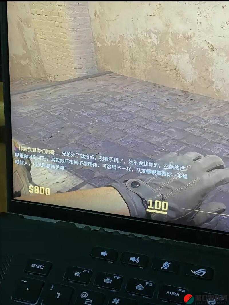 老婆不在家一个人寂寞CSGO：在游戏世界中寻求慰藉