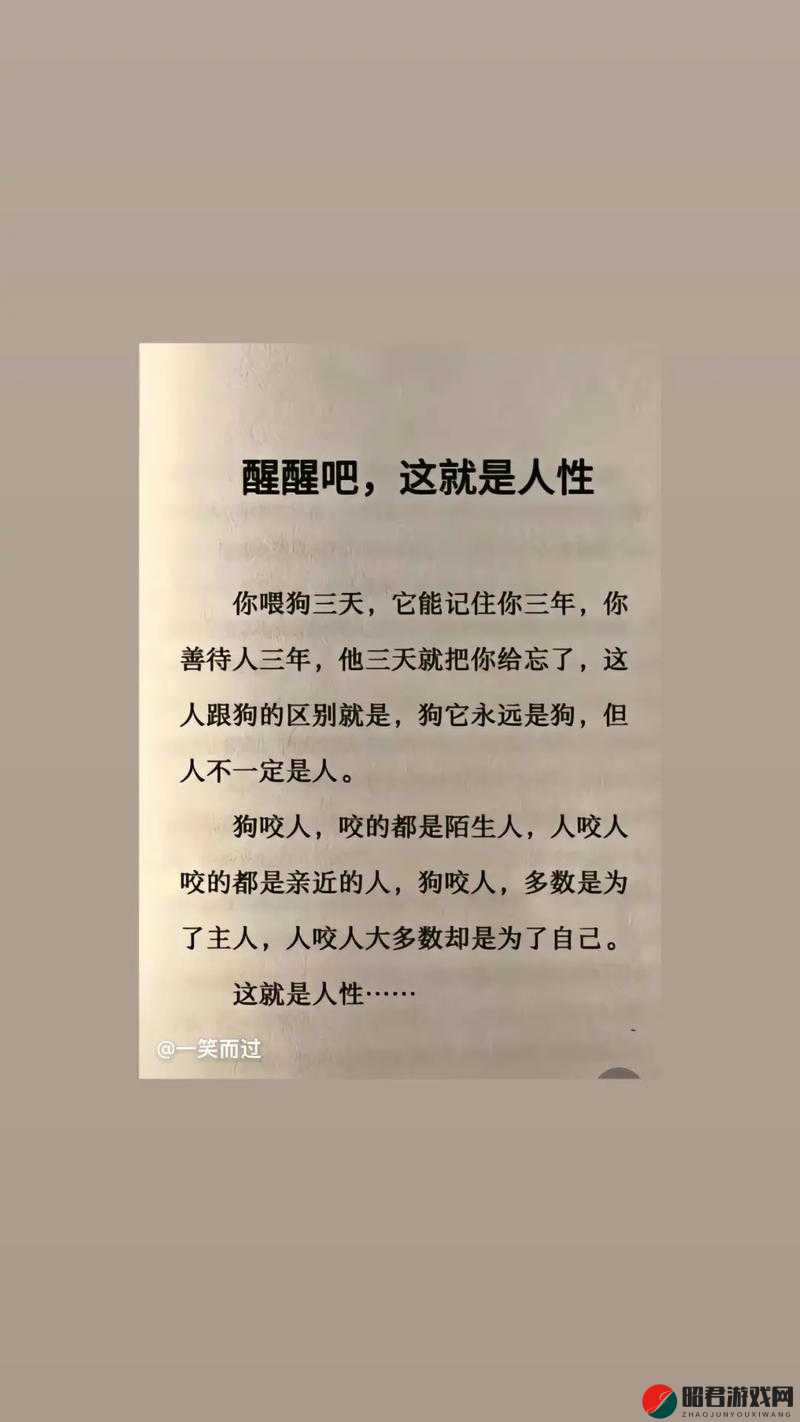 想玩谁就玩谁的世界笔趣阁：小说带你体验别样人生