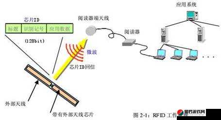 射频线知识普及：全面深入解读射频线的原理与应用