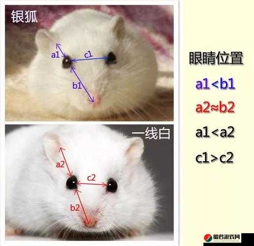 日本一线与三线的区别究竟在哪里