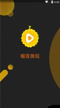 榴莲微视 APP 网站下载及相关功能介绍