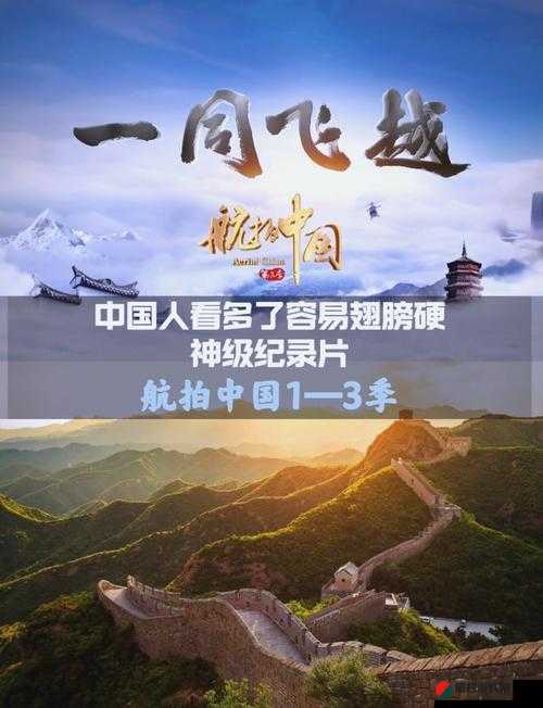 鲁大师视频免费播放：开启精彩的视觉盛宴之旅