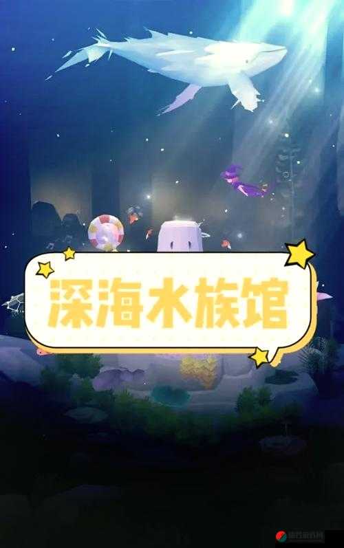 深海水族馆新手必看，如何入门及未来玩法会有哪些革命性变化？