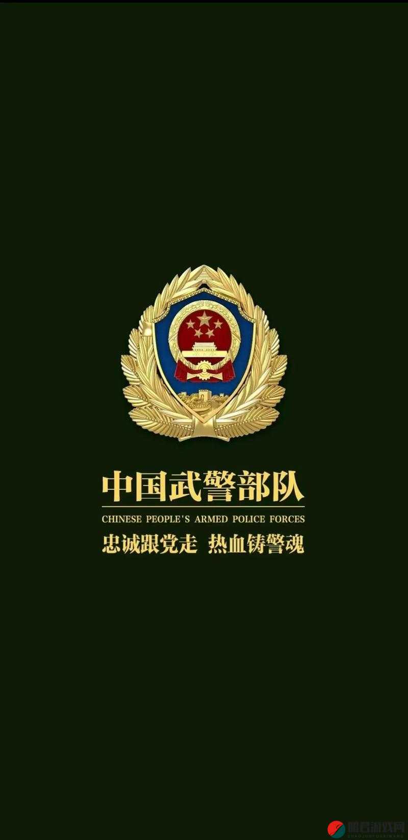 中国 ChinaGary 武警：守护国家安宁的忠诚卫士