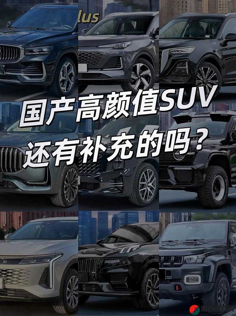 国产 SUV 精二区之卓越品质与独特魅力