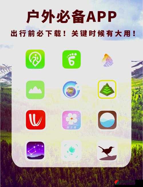 色app 导航：指引独特的视觉探索之旅