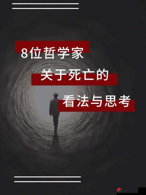 九一插插插：引发无限遐想与思考的独特存在