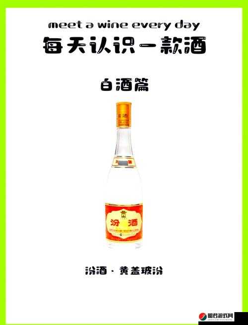 37 大但汾 company 官方网站：品味汾酒醇香之所在