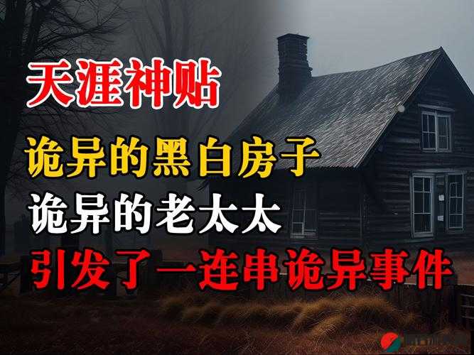 震惊多毛老太太为何深夜徘徊街头？她身上究竟隐藏着怎样不为人知的秘密？