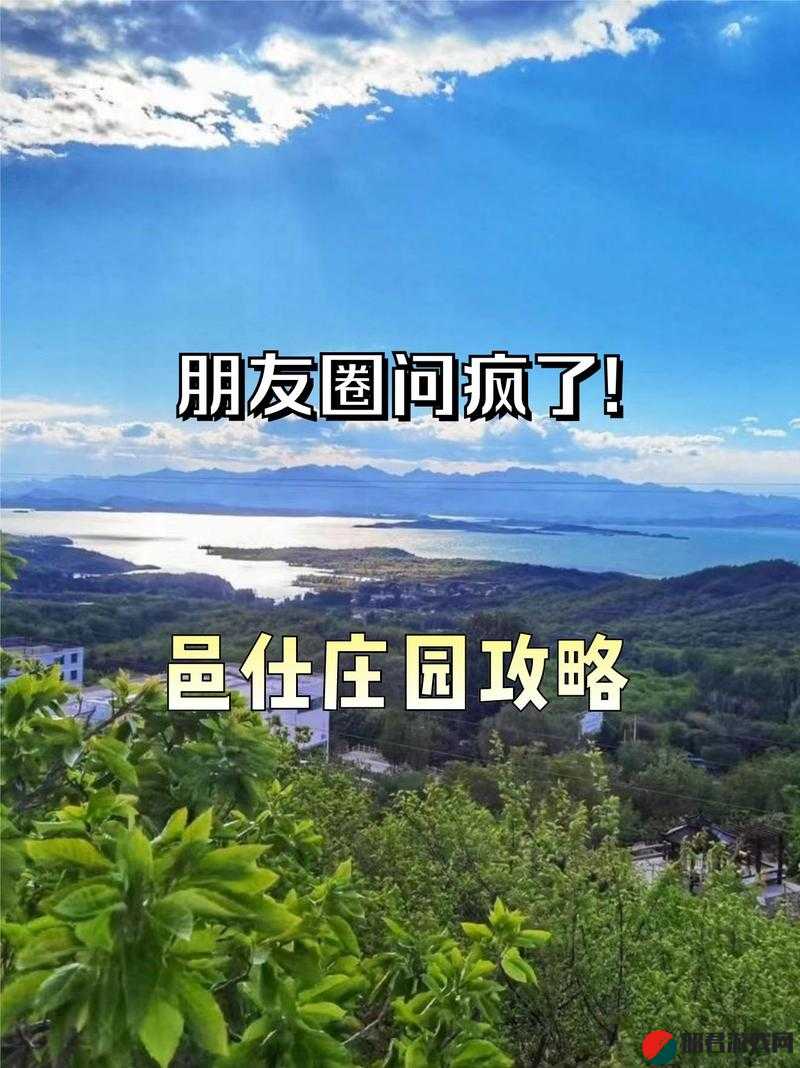 看 b 站 a8 直播：精彩内容等你来探索发现