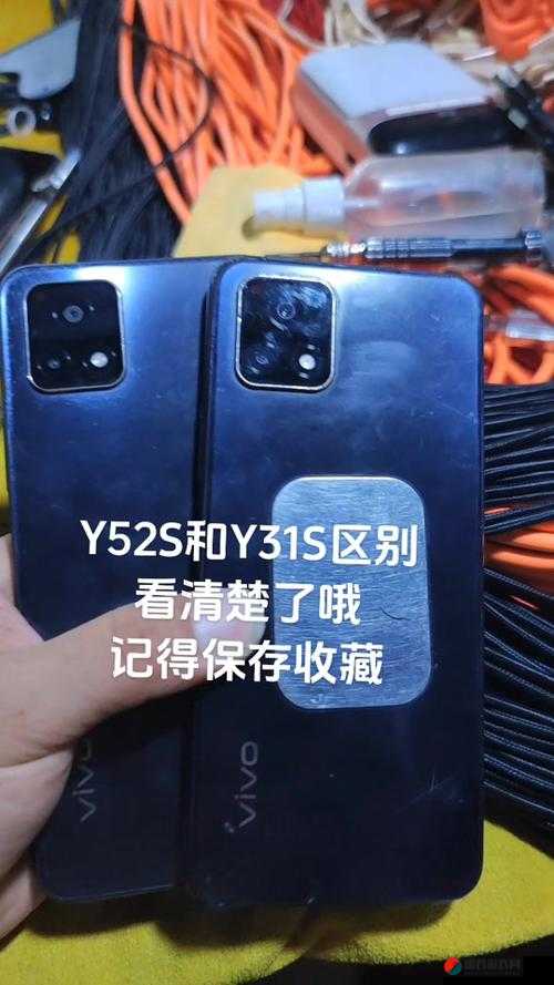 一级成色好的 Y31S 标准版评测：最近超火爆的详细解读