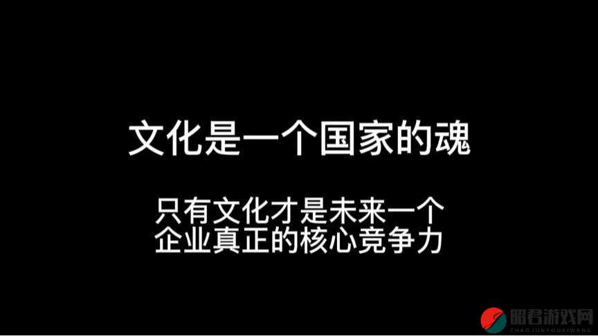 美国乂乂乂：探索其历史、文化与未来