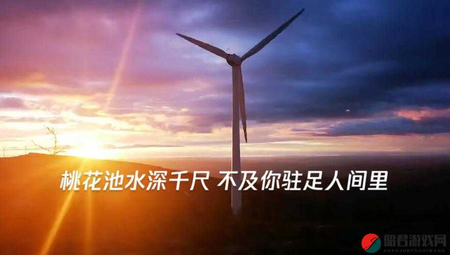 白喷丝泉网站：一个充满惊喜和欢乐的地方